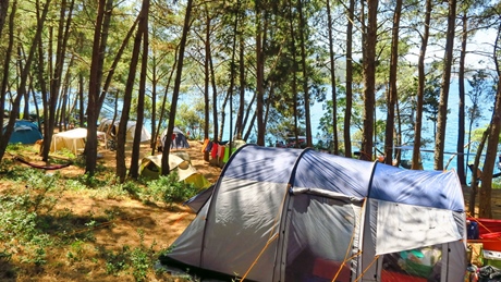 Camping site with tents among trees near the sea