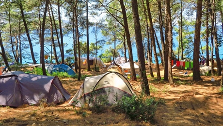 Tents set up in a forest near the sea on Cres