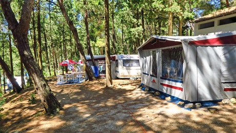 Campsite with tents and trees in a forest setting