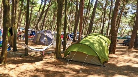 A campsite with tents and a hammock in a forest setting