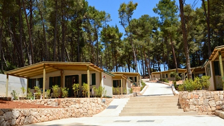 Row of cabins surrounded by trees on a hillside