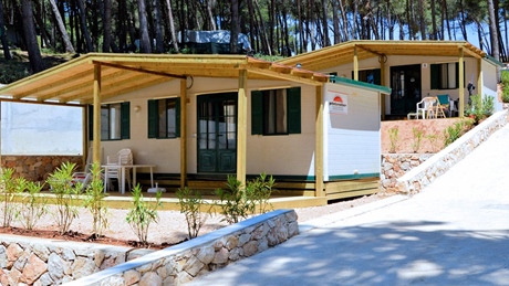 Holiday cabins surrounded by trees