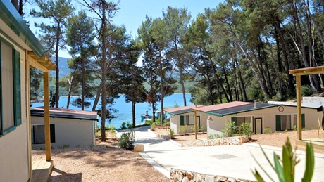 Cabins surrounded by trees near the sea on Cres