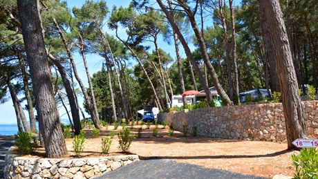 A scenic view of a campsite surrounded by pine trees near the sea