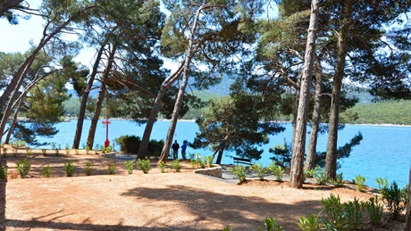 A scenic view of a coastal area with trees and blue water