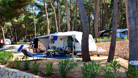 Campsite with a caravan and outdoor seating in a forested area