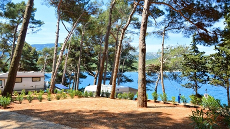 Camping area with trees overlooking the sea