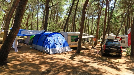 Camping area with tents and a car surrounded by trees