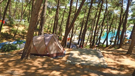 Tent in a forested campsite near the sea