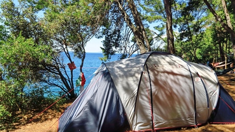 A tent set up in a wooded area near the sea