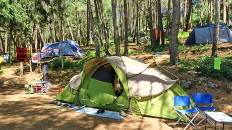 A campsite with tents and chairs in a forested area