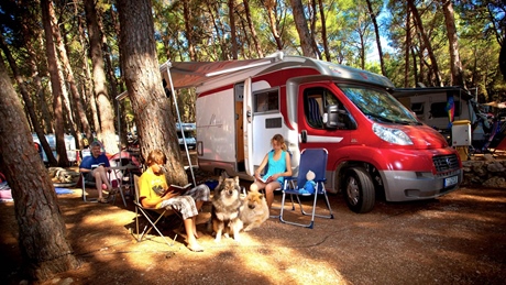 A family camping with a camper van in a forest setting