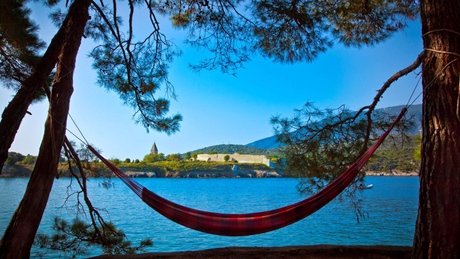 Hammock hanging between trees overlooking a calm blue sea