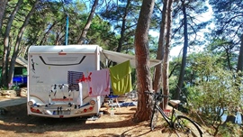 Campervan parked in a forested campsite with clothes hanging and a bicycle nearby