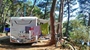 Campervan parked in a forested campsite with clothes hanging and a bicycle nearby