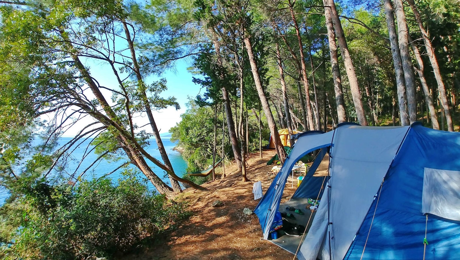 Campingplatz mit einem blauen Zelt am Meer umgeben von Pinienbäumen