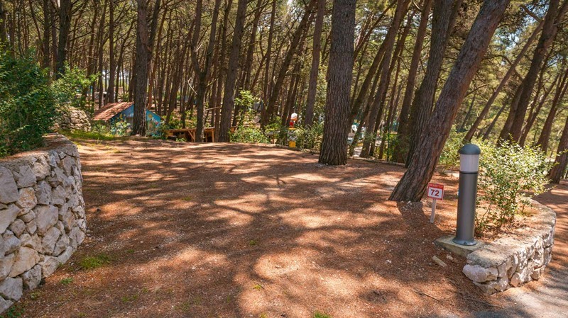A wooded campsite area in Bijar