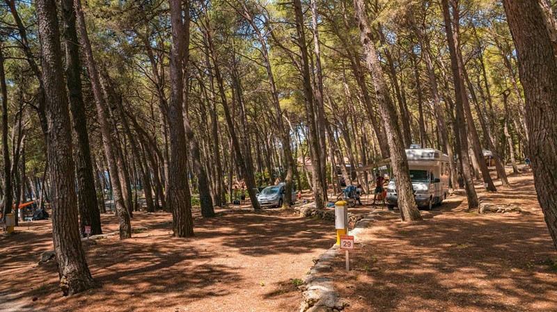 Camping area surrounded by trees at Bijar